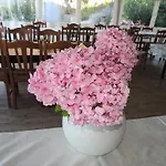 Da Fabiana, Ristorante E In Alta Langa Bossolasco