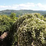 Da Fabiana, Ristorante E In Alta Langa 住宿加早餐酒店 4*