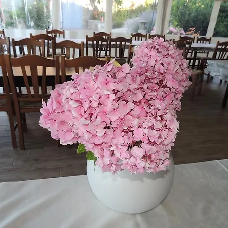 Da Fabiana, Ristorante E In Alta Langa Bossolasco