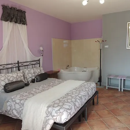 住宿加早餐酒店 大法比亚纳酒店 4*