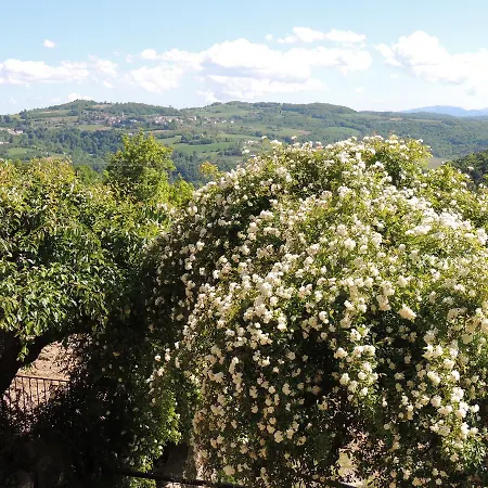 Da Fabiana, Ristorante E In Alta Langa Couette-café 4*