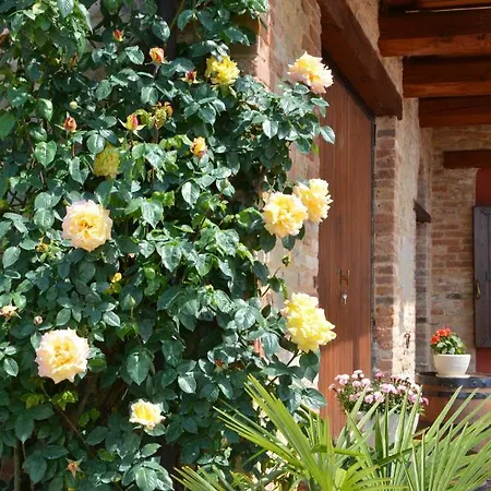 Da Fabiana, Ristorante E In Alta Langa 4* Bossolasco