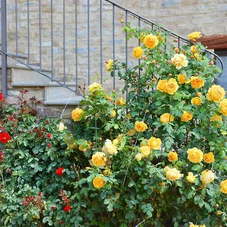 大法比亚纳酒店 住宿加早餐酒店 Bossolasco