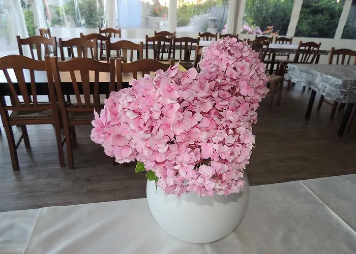 Da Fabiana Bossolasco