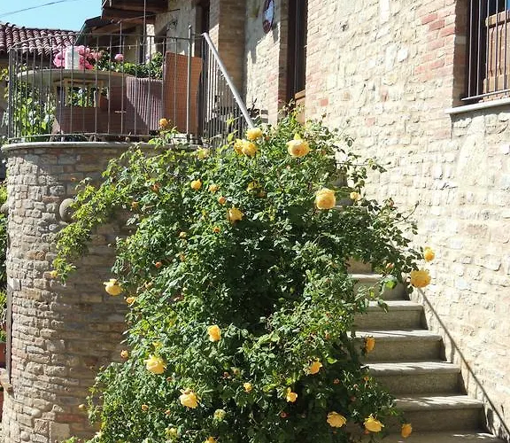 Da Fabiana Bed & Breakfast Bossolasco