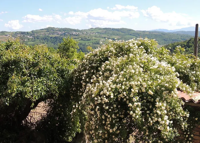 Da Fabiana, Ristorante E In Alta Langa Bed and breakfast 4*