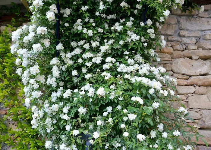 Bed & Breakfast Da Fabiana