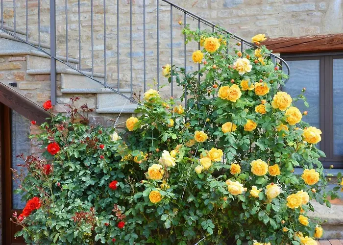 Da Fabiana Bed & Breakfast Bossolasco